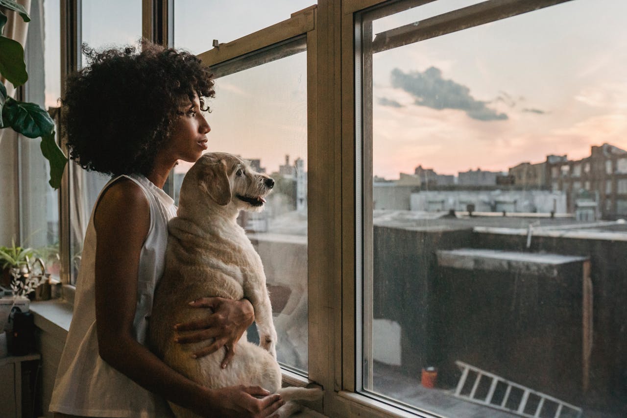 Casas em Condomínio e Pets – Conheça a Nova Lei