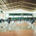 Qual a importância da capoeira para a cultura