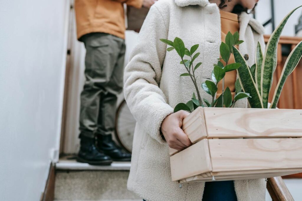 transportar plantas