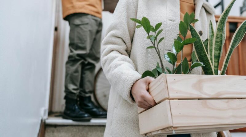 transportar plantas