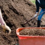 Contabilidade para Jardineiros Simplificada