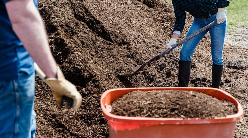 Contabilidade para Jardineiros