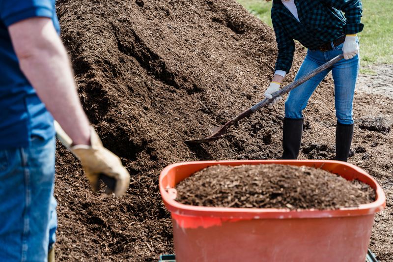 Contabilidade para Jardineiros Simplificada