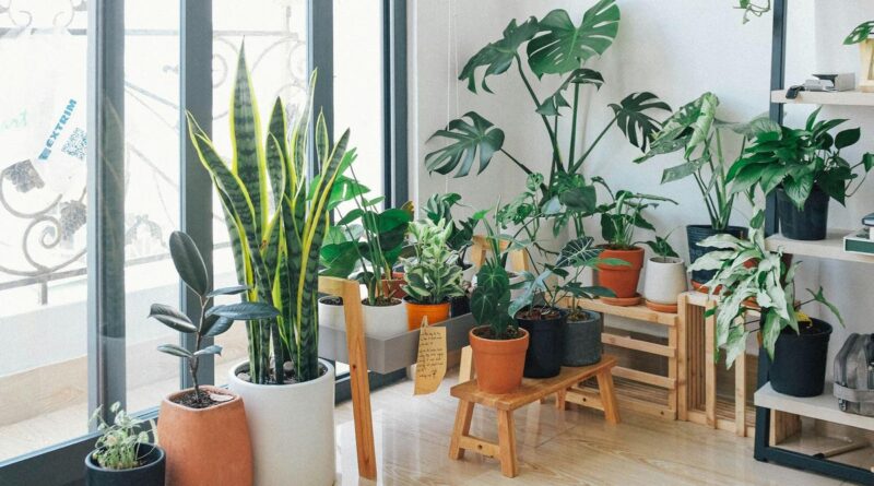 Jardim de inverno na sala