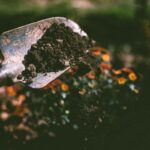 Como contratar um jardineiro: tudo que você precisa saber para fazer a escolha certa