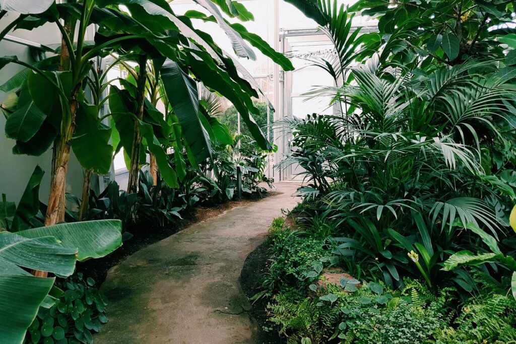 Tipos de jardim