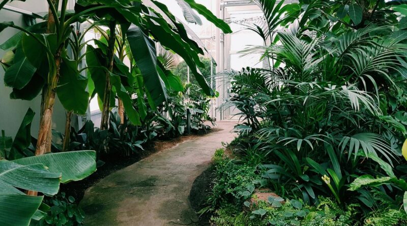Tipos de jardim