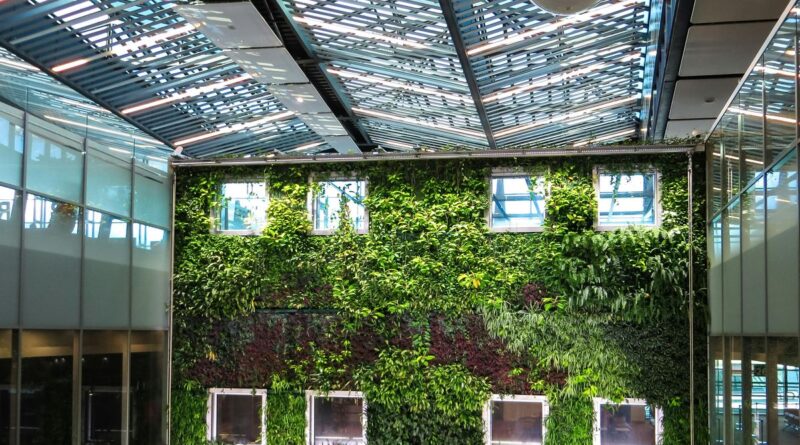 Arquitetura verde