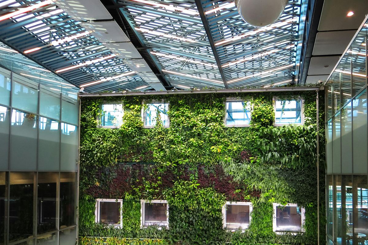 Arquitetura verde: 7 formas de implementar flores e paisagismo!
