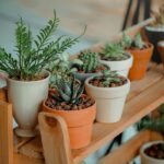Paisagismo em escritórios: 9 dicas para implementar em áreas corporativas!