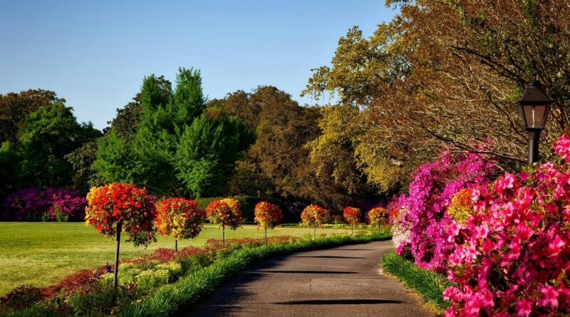 Jardim sem Fronteiras