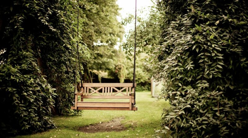 dicas para cortar a grama de seu jardim