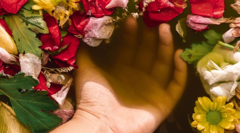 Flores de dezembro