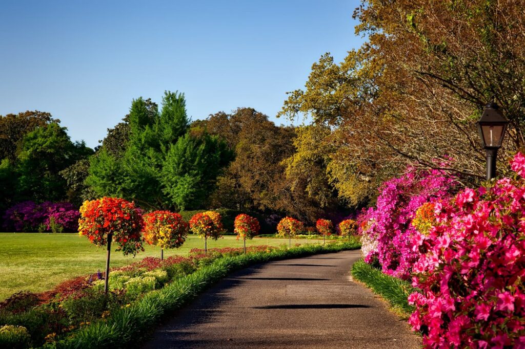 Tipos de plantas para jardim