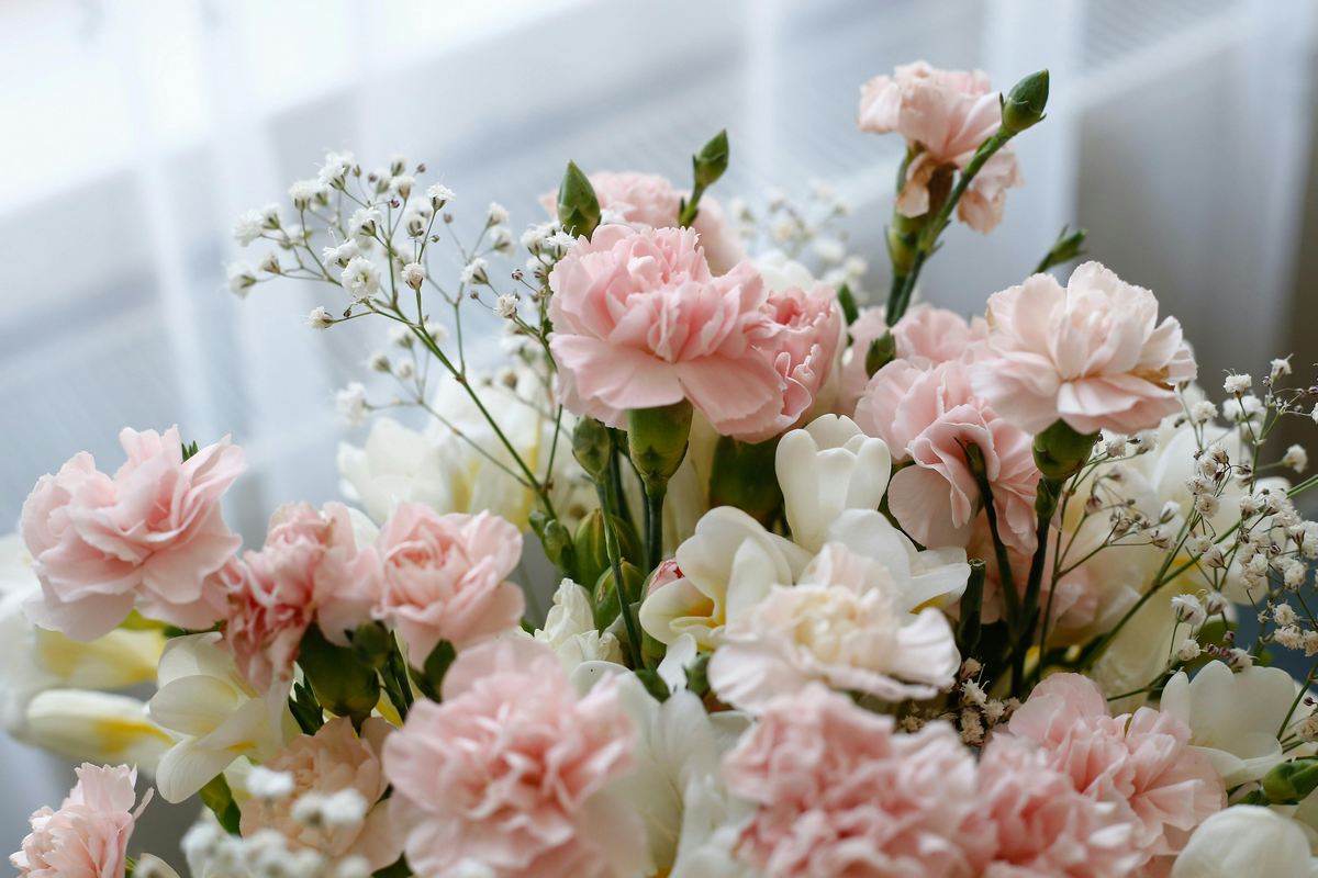 Posso deixar flores na geladeira: entenda o que realmente funciona