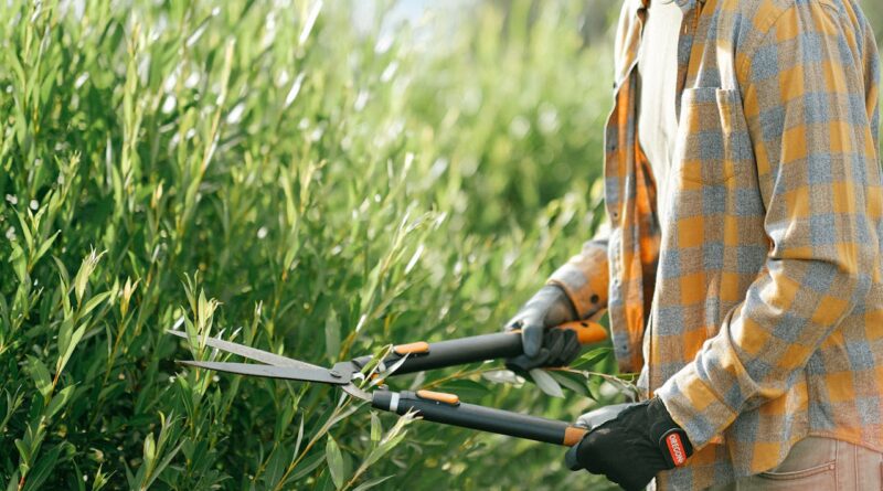 Itens de jardinagem com desconto