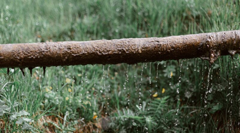 Como a drenagem correta influencia a saúde de jardins e áreas verdes