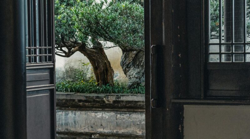 Para escolher os arbustos ideais para jardim, considere o clima local, tipo de solo, exposição solar e o porte desejado da pl