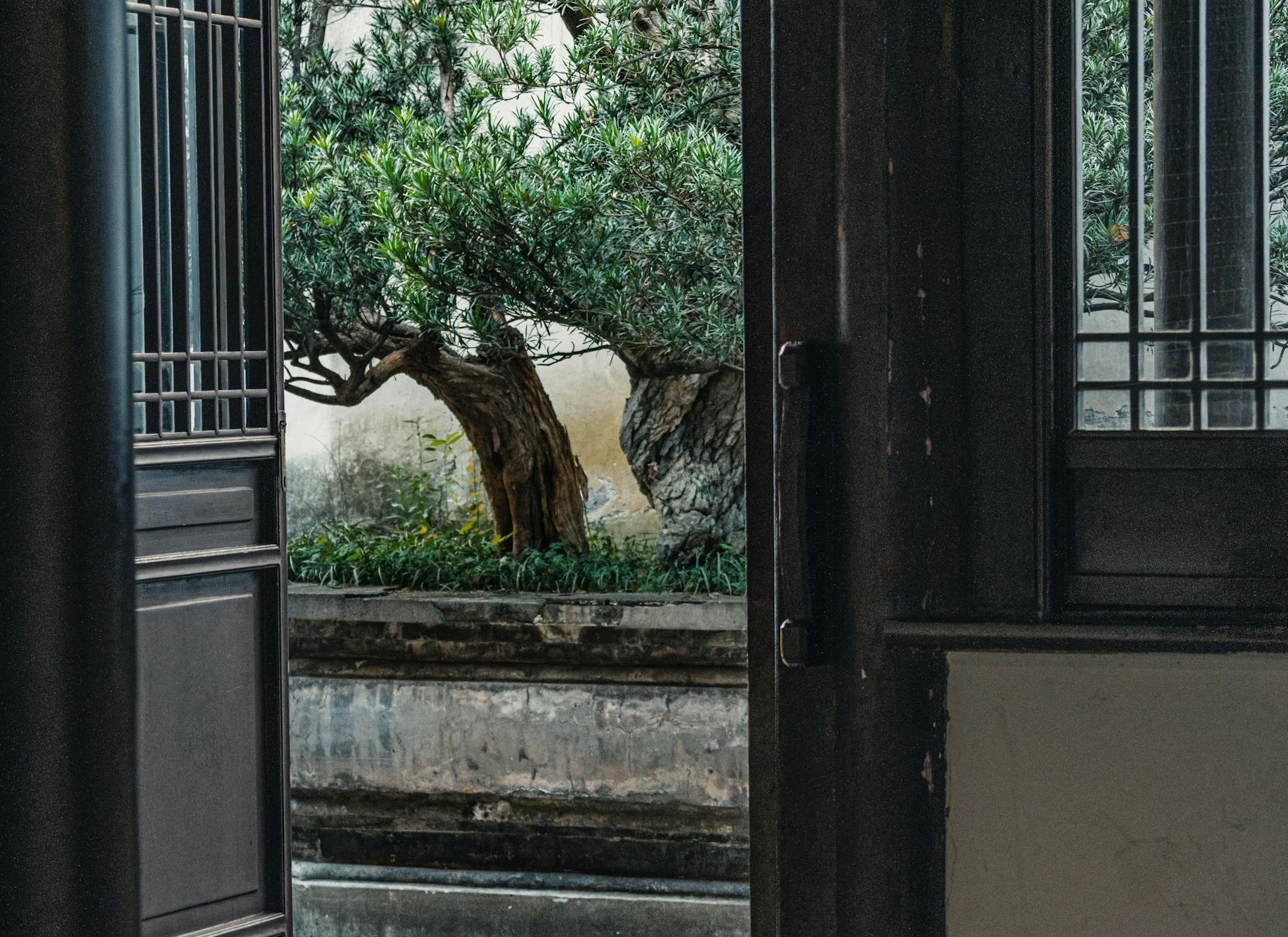 Arbustos para Jardim: O Guia Definitivo para Escolher e Cuidar