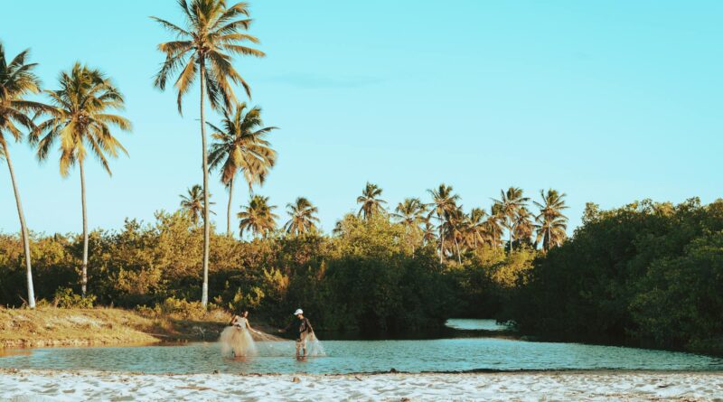 Para usar bicarbonato de sódio em plantas, ele serve como um fungicida natural, repelente de pragas e até mesmo para ajustar