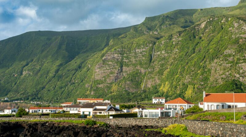 Para flores de estação, são espécies que florescem naturalmente em um período específico do ano, alinhadas ao clima e solo. O