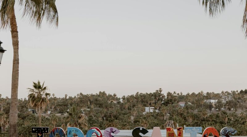 Para flores que duram o ano todo, considere espécies resistentes e de floração contínua como a Lavanda, Orquídea, Begônia, Ka