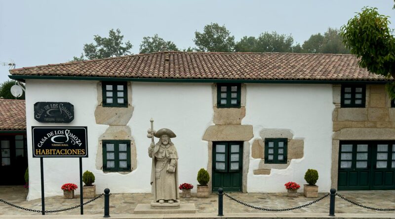 Para jardinagem em casa, é essencial escolher as plantas certas para seu espaço e nível de experiência, garantir a iluminação