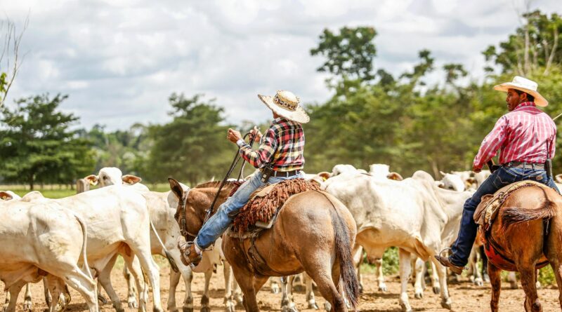 Para jardinagem sustentável, adote práticas que minimizam o impacto ambiental e promovem a biodiversidade, como o uso eficien