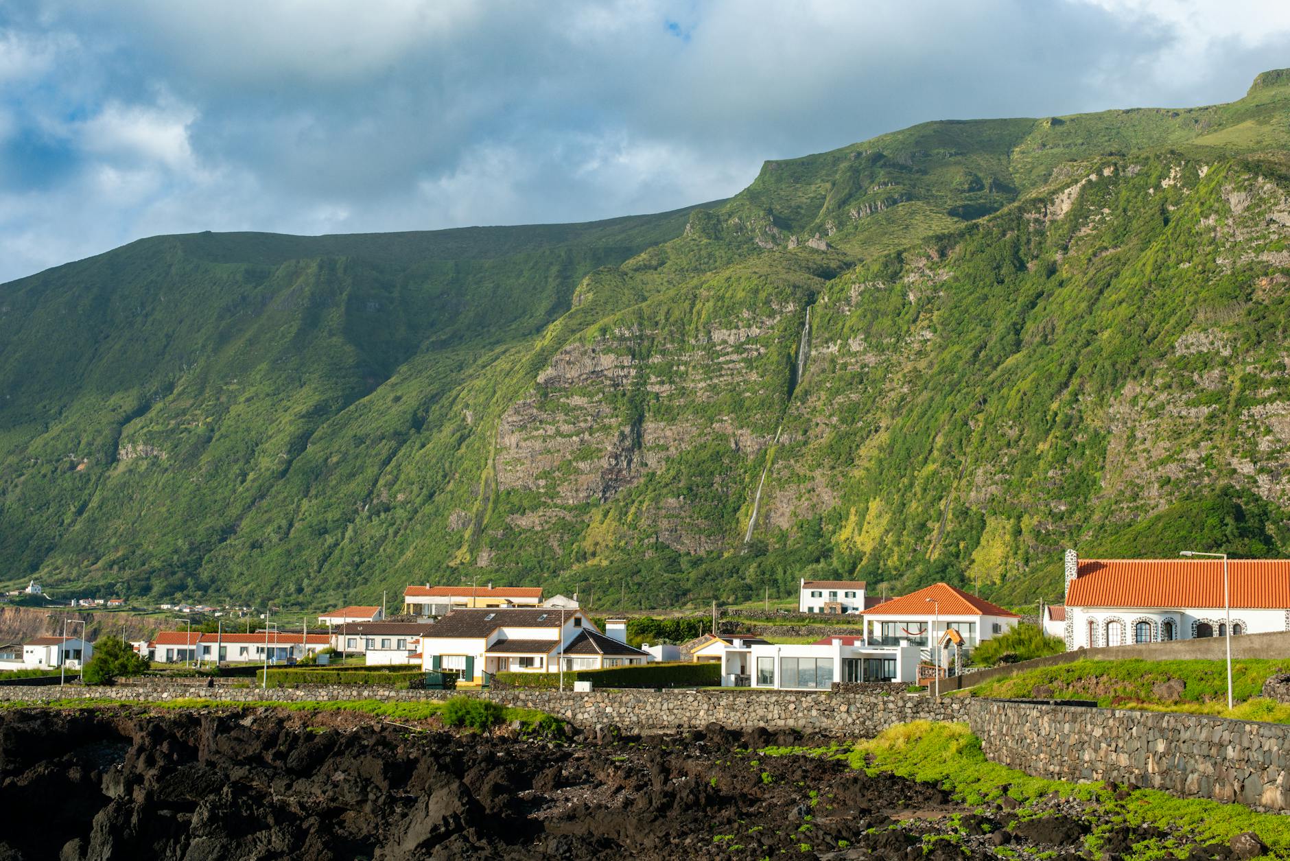 As 10 Plantas que Dão Flores Mais Deslumbrantes: Guia Definitivo para um Jardim Florido o Ano Todo