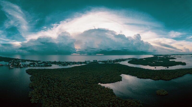 Para plantas resistentes ao sol para vasos, considere espécies como Onze-horas, Lavanda, Suculentas (como Echeverias e Sedums