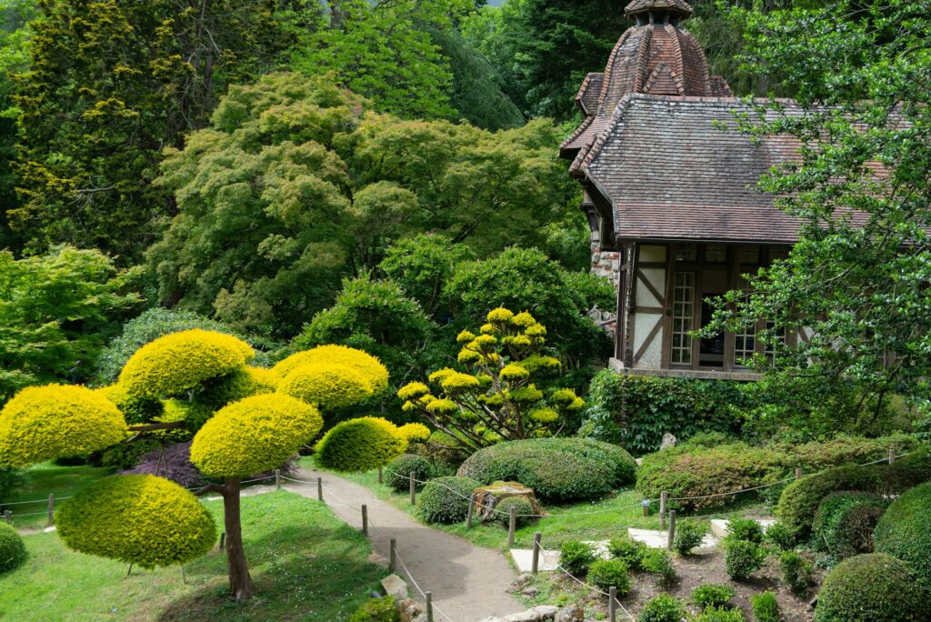Para todos os tipos de plantas, existem classificações baseadas em critérios como estrutura, reprodução e habitat. Elas são d