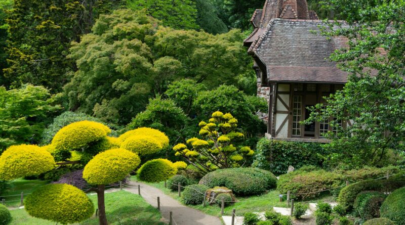 Para todos os tipos de plantas, existem classificações baseadas em critérios como estrutura, reprodução e habitat. Elas são d