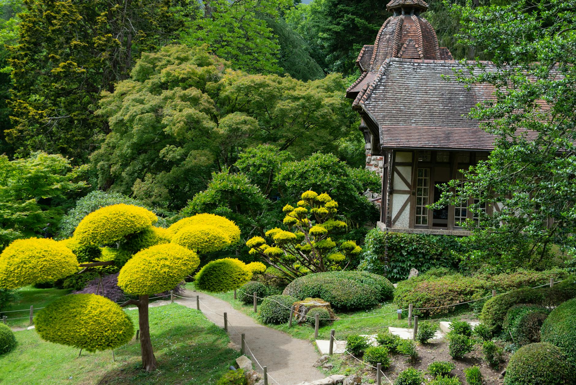 Guia Definitivo: Descubra Todos os Tipos de Plantas e Seus Segredos