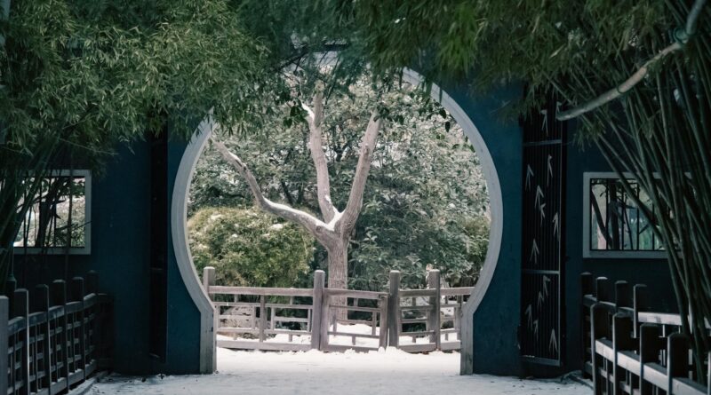 Para vasos para jardins externos, a escolha ideal envolve considerar o material, tamanho, drenagem e estilo que se harmonizem