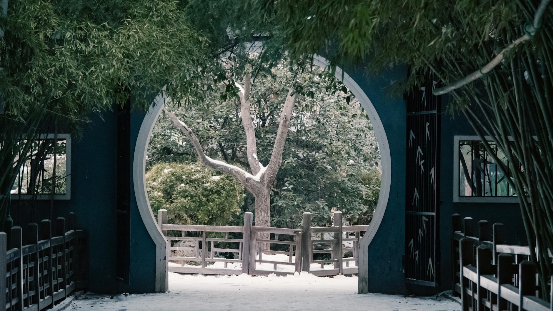 Vasos para Jardins Externos: O Guia Definitivo para um Oásis Verde e Duradouro
