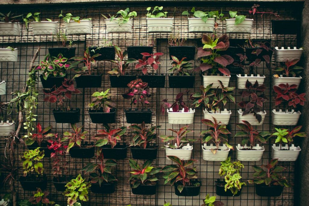 Jardim com estruturas metálicas
