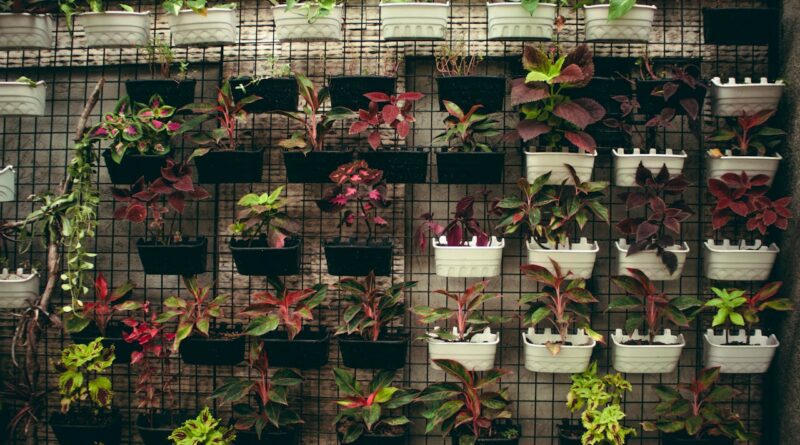 Jardim com estruturas metálicas