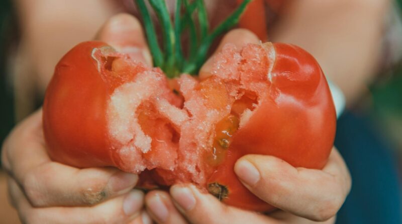 Para cama box casal bipartido, trata-se de um conjunto de base para colchão dividido em duas partes, facilitando o transporte