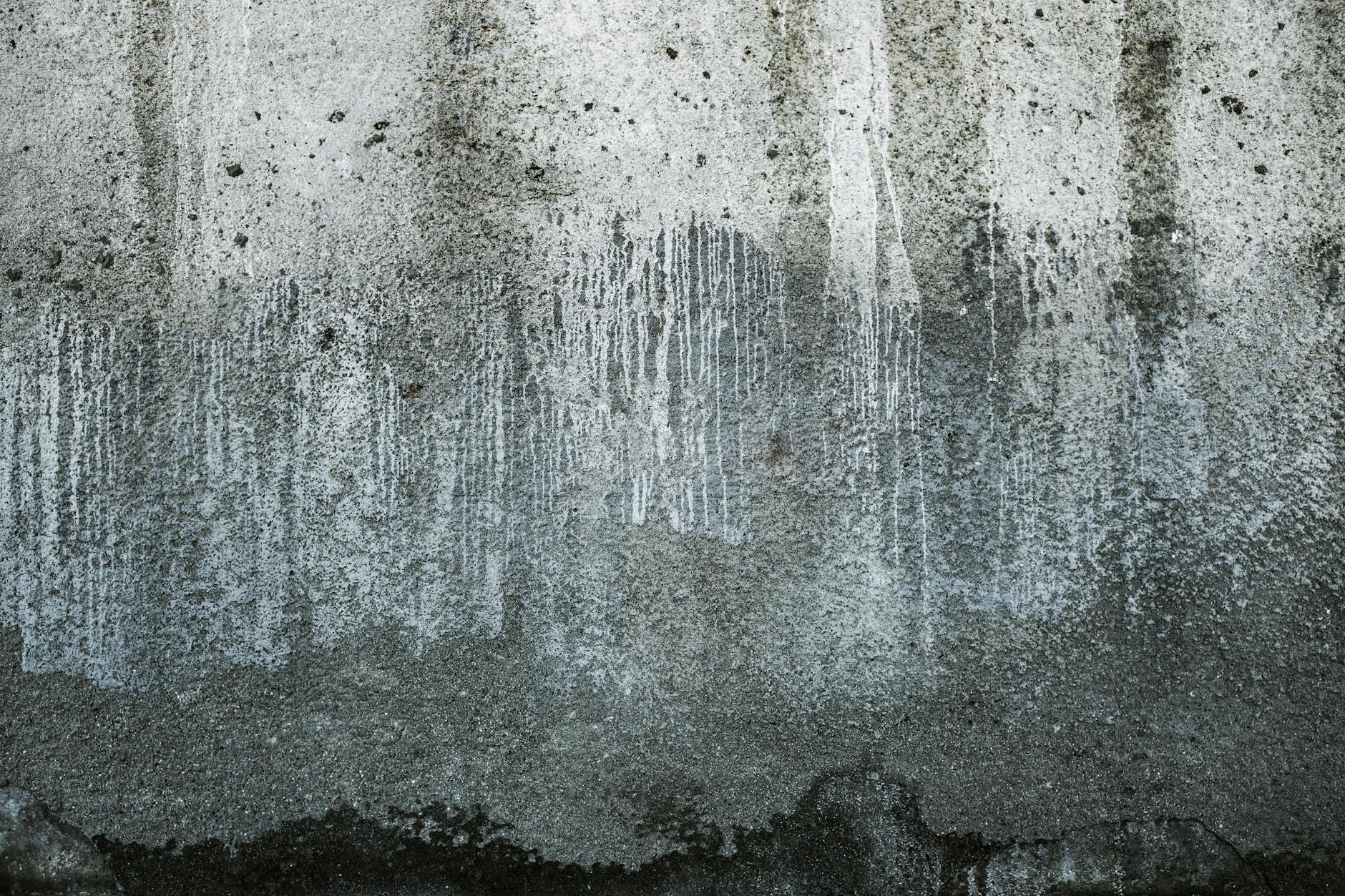 Cores de Tinta para Concreto: O Guia Definitivo para uma Escolha Perfeita e Duradoura