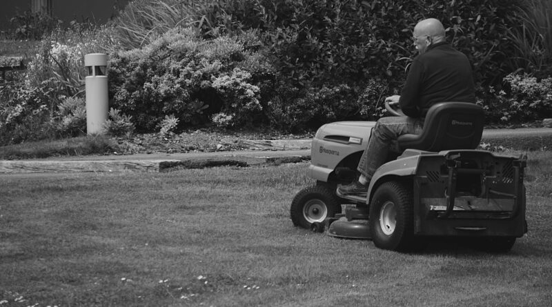 Para a manutenção de jardins paisagísticos, é essencial um planejamento contínuo que inclua rega adequada, poda regular, cont