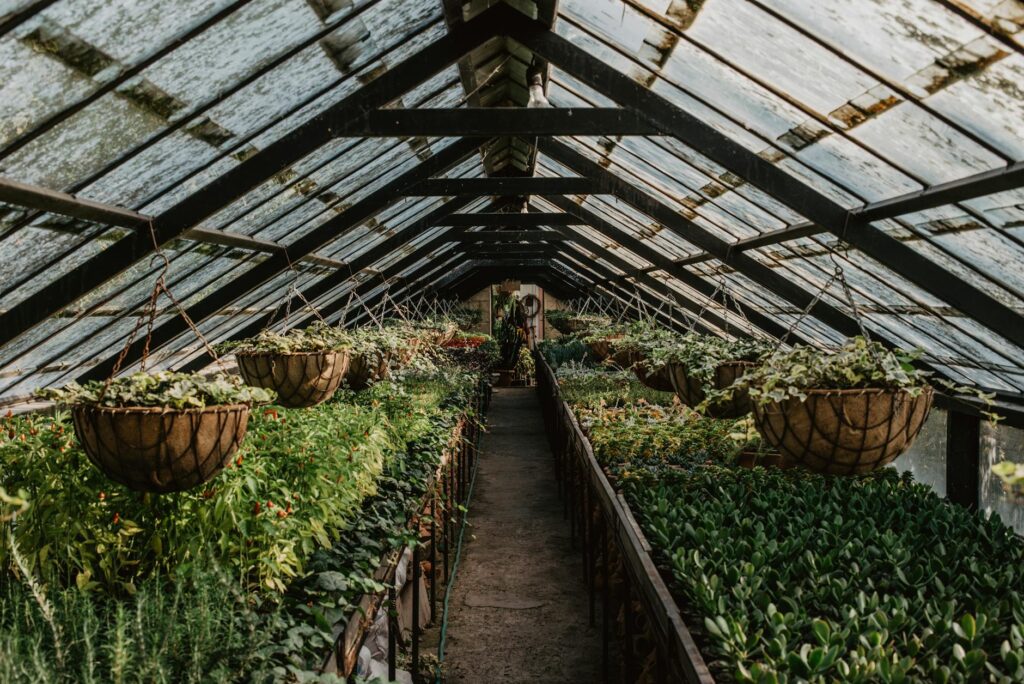 Para ideias de paisagismo para jardins pequenos, priorize o uso vertical com jardins suspensos ou treliças, escolha plantas d