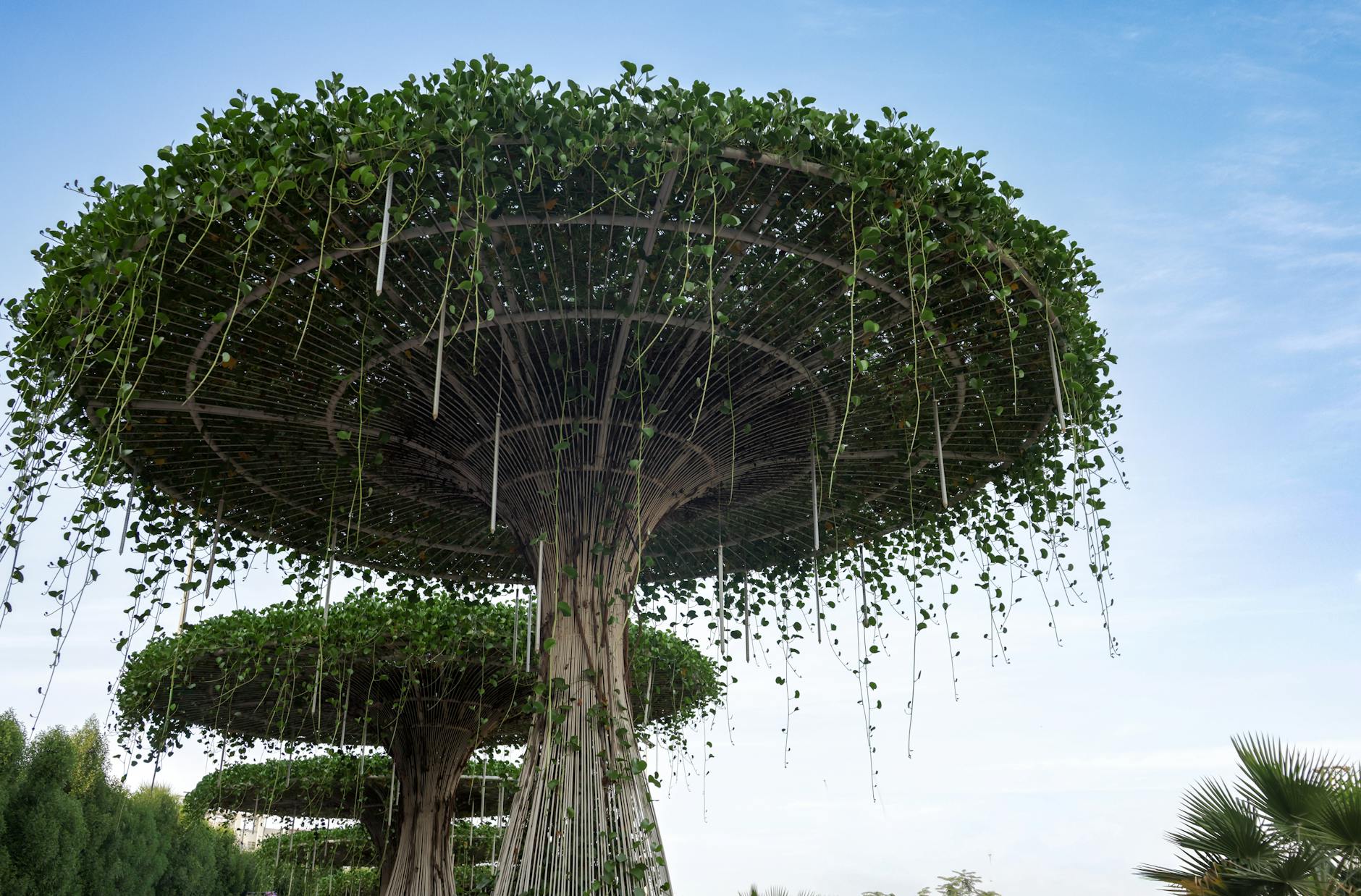 Modelo de Jardim dos Sonhos: Guia Completo para Planejar e Criar o Seu Espaço Perfeito