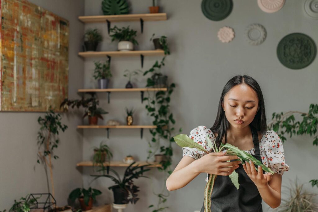 Para paisagismo em apartamento, inicie avaliando luz e espaço, escolha plantas adaptadas a ambientes internos ou varandas, in