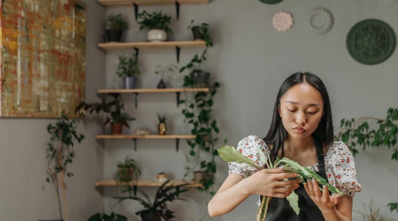 Para paisagismo em apartamento, inicie avaliando luz e espaço, escolha plantas adaptadas a ambientes internos ou varandas, in