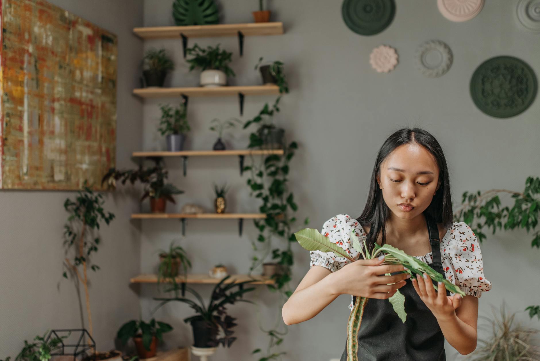 Paisagismo em Apartamento: O Guia Definitivo para um Oásis Urbano