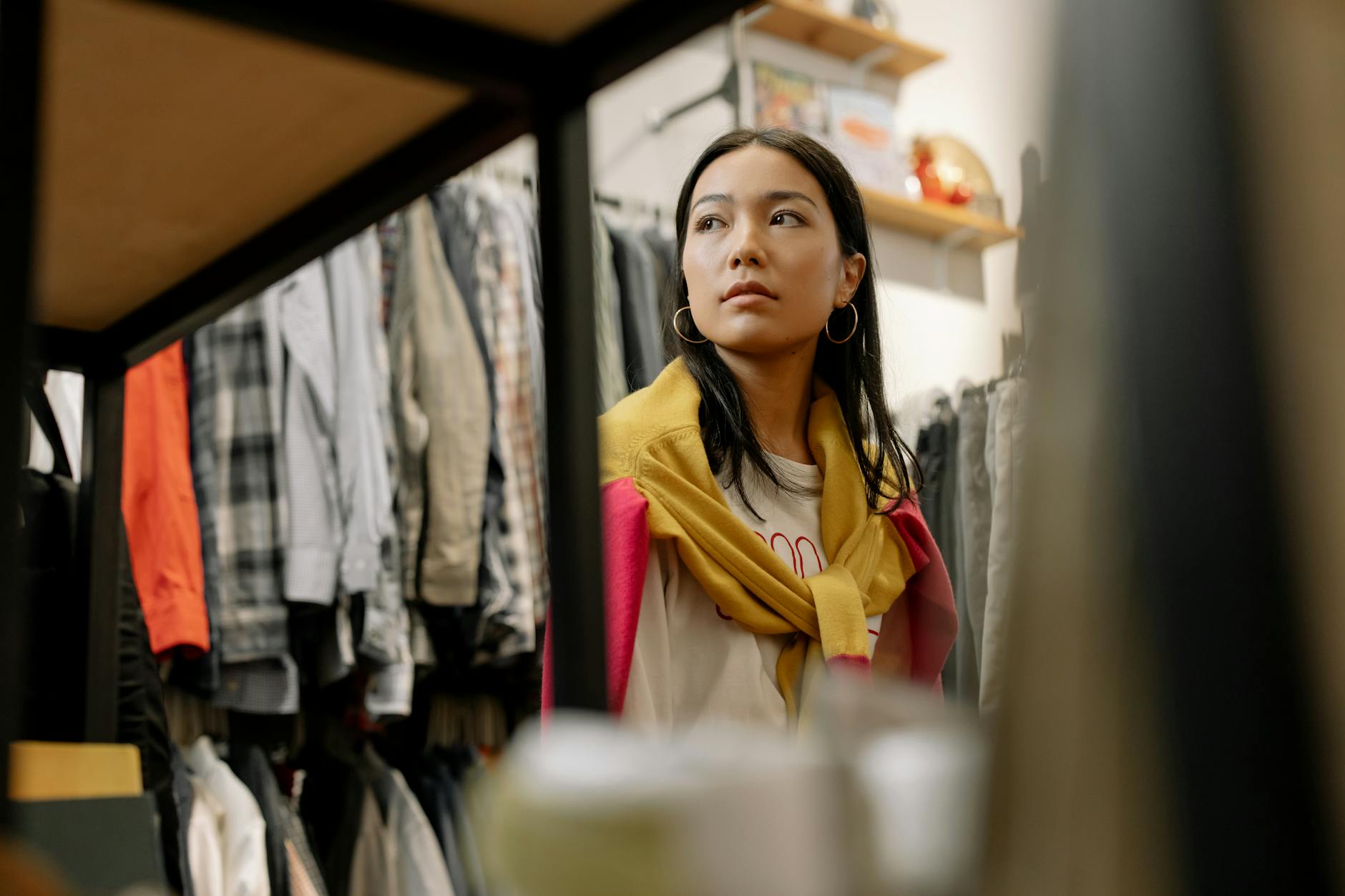 Plantas Baratas: O Guia Definitivo para um Lar Mais Verde e Econômico