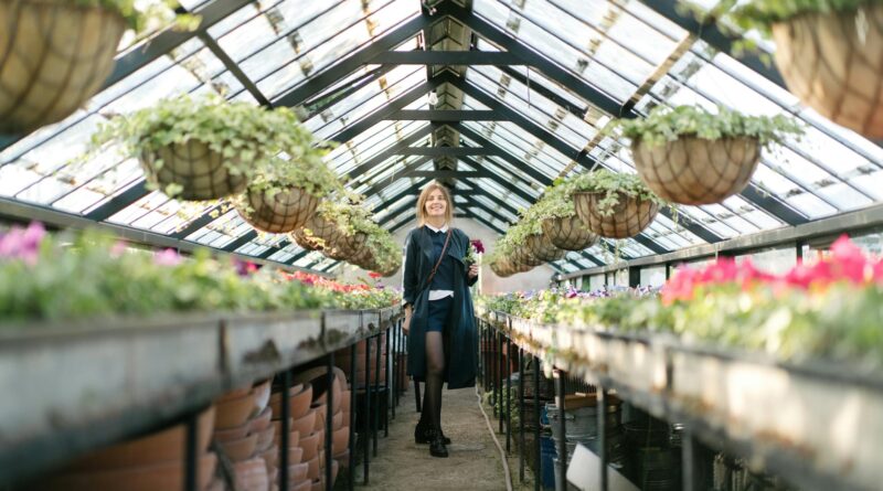 Para plantas para jardim vertical pleno sol, escolha espécies robustas que prosperam sob luz intensa. Suculentas, como sedum