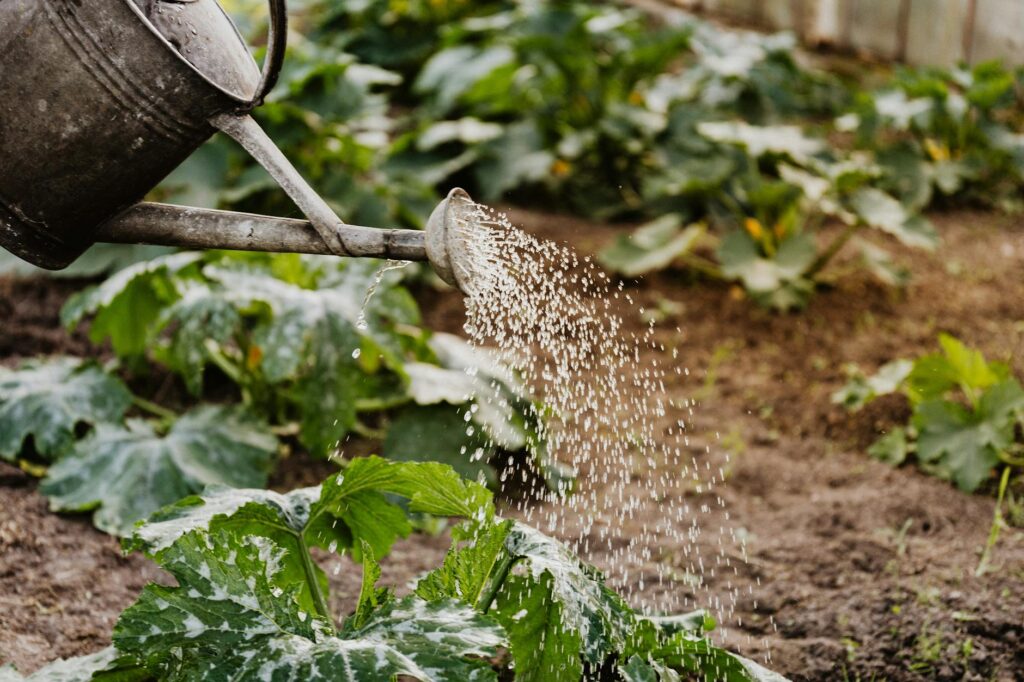 Para plantas para quintal pequeno, as melhores opções são aquelas que não exigem muito espaço ou que podem ser cultivadas ver