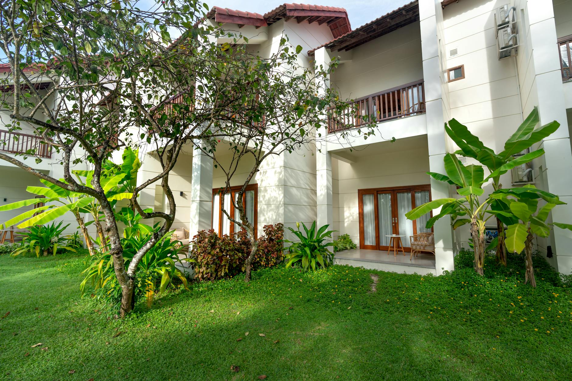 Varanda Ensolarada: As Plantas Perfeitas para um Oásis Verde e Vibrante