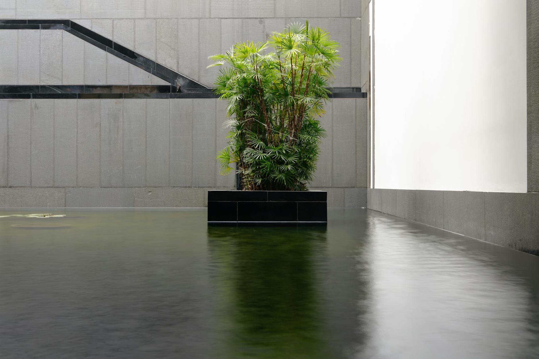 Cimento Queimado na Parede: O Guia Definitivo para um Acabamento Impecável e Moderno